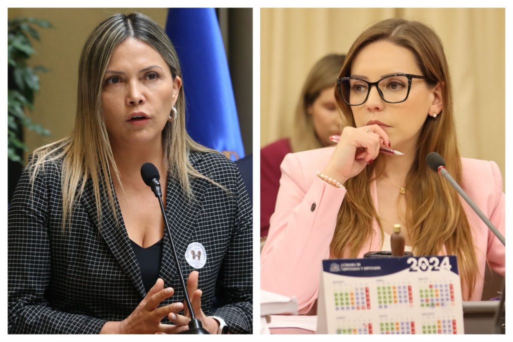 Diputadas Marlene Pérez y Camila Flores