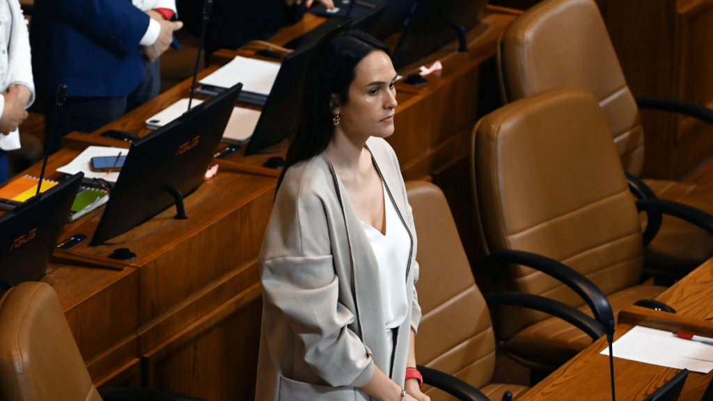 Subsecretaría del Interior Diputada Paula Labra ofició a la Subsecretaría del Interior.