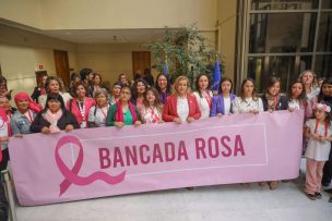 35 diputadas conforman la “Bancada Rosa” para enfrentar el cáncer en mujeres