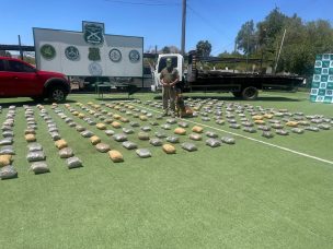 Carabineros desarticula banda extranjera que trasladaba más de 246 kilos de drogas en Atacama