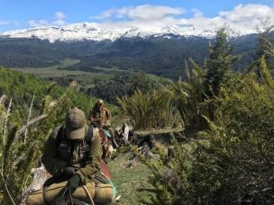 Carabineros detiene a tres personas por contrabando en La Araucanía y decomisa productos ilegales