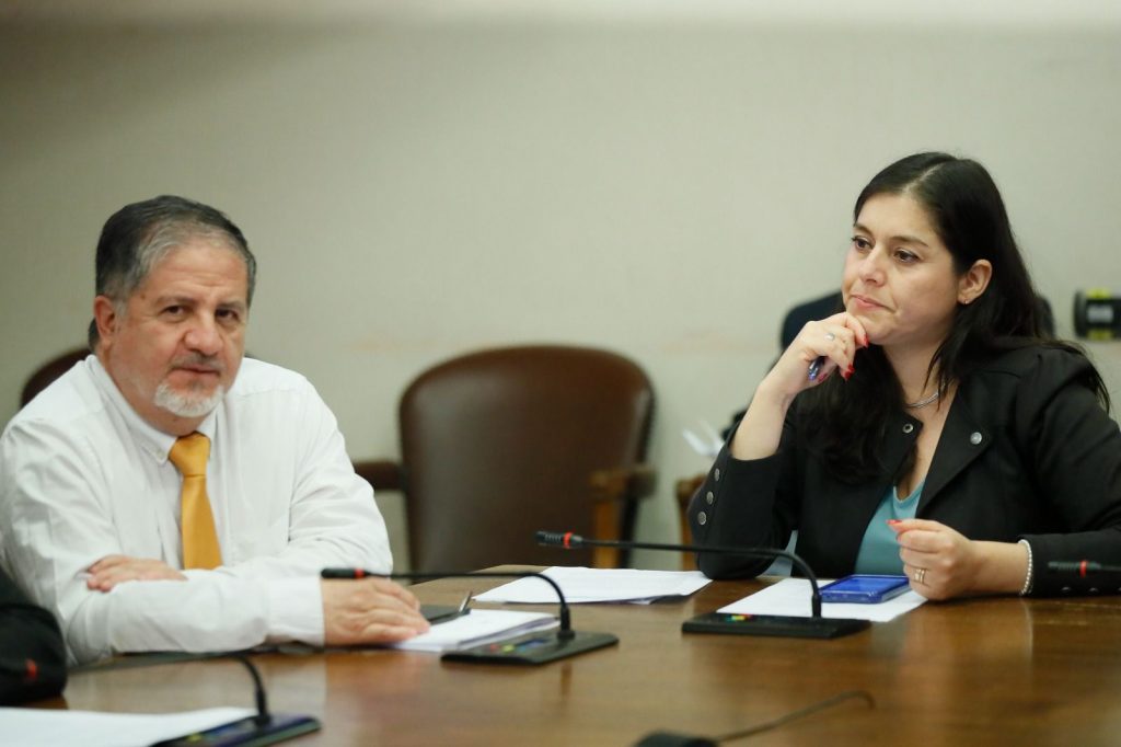 Diputados del Biobío