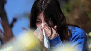 Académico entrega medidas claves para combatir las alergias en primavera