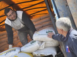 Agricultura entrega ayudas a 1.325 productores ganaderos de Aysén para enfrentar déficit hídrico