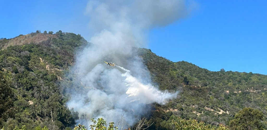 Alerta Roja por incendios en Valparaíso: evacúan sectores en Laguna Verde