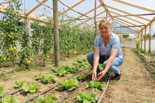 Agenda Agrícola: Indap fortalece el rol de las mujeres en la agricultura familiar campesina