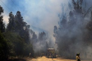 Sociedad Nacional de Agricultura lidera seminario para fortalecer la prevención de incendios forestales