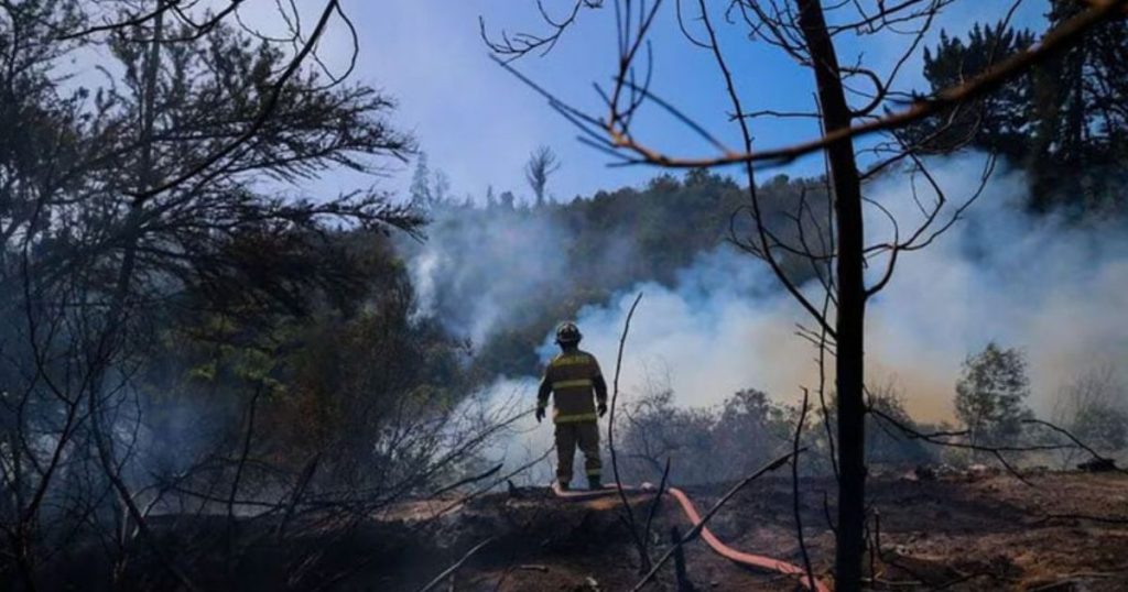 Incendio forestal consume 74 hectáreas en Hijuelas: SENAPRED mantiene Alerta Roja