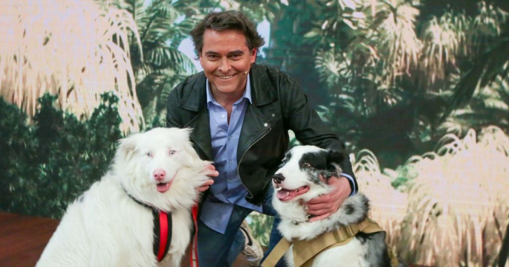 “Acción Animal” de Sebastián Jiménez debuta en TVN: ¿Cuándo se estrena este nuevo programa?