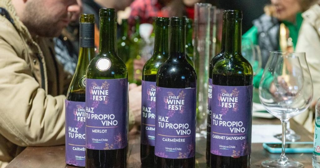 Chile Wine Fest 2024: la fiesta de vinos premium en el Parque Bicentenario