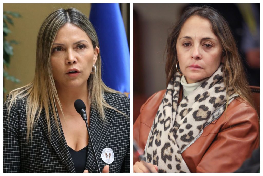 Diputadas de la bancada rosa