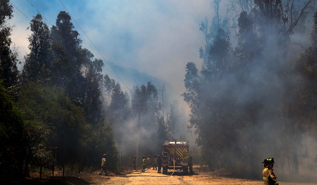 Ministro de Agricultura reiteró llamado a la prevención de incendios forestales