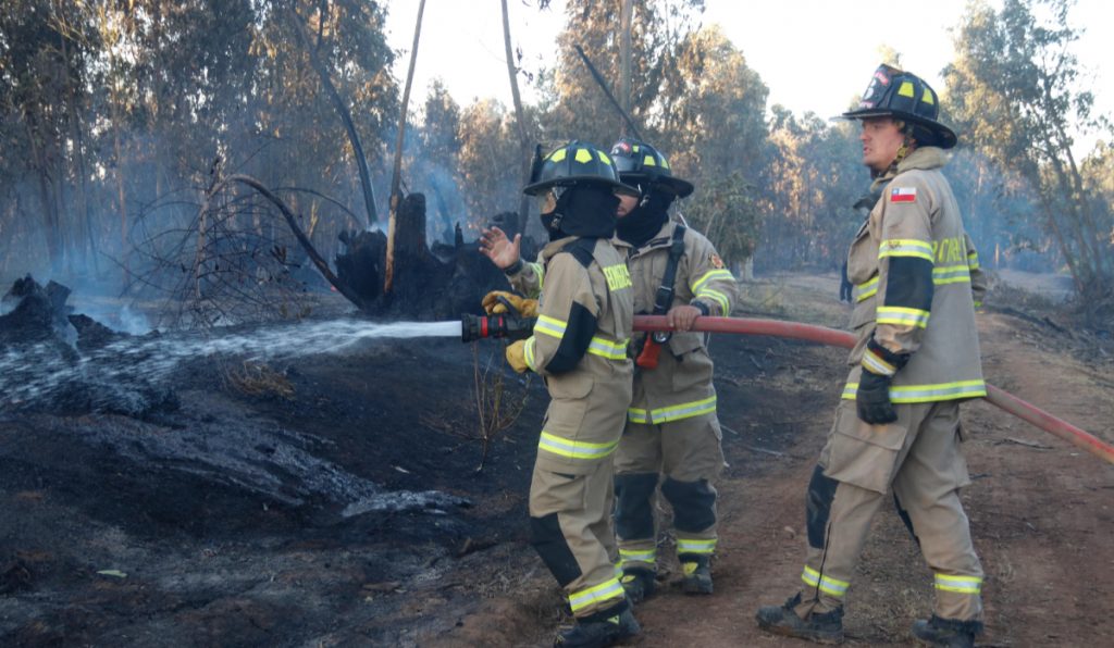 Senapred entregó resumen nacional de incendios forestales: Revisa el detalle