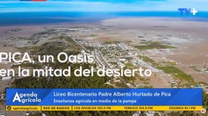 Agenda Agricola: La historia del liceo de Pica, un oasis en medio del desierto