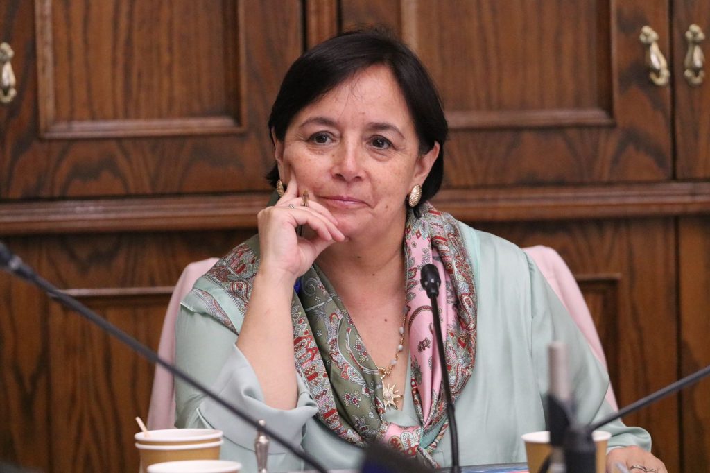 Senadora Aravena valora Ley de Usurpaciones: 