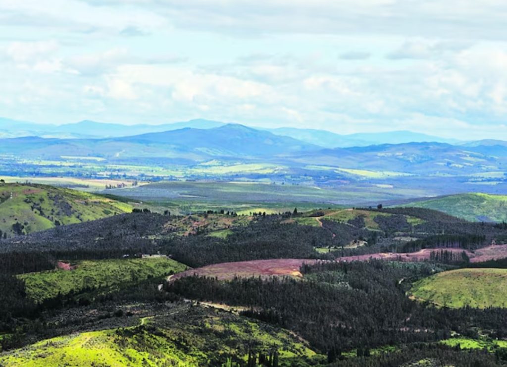 Multigremial de La Araucanía lanza campaña “Pozo Sin Fondo” para debatir la política de tierras en la Macrozona Sur