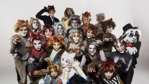 “CATS” anuncia imperdible función de despedida en Viña del Mar