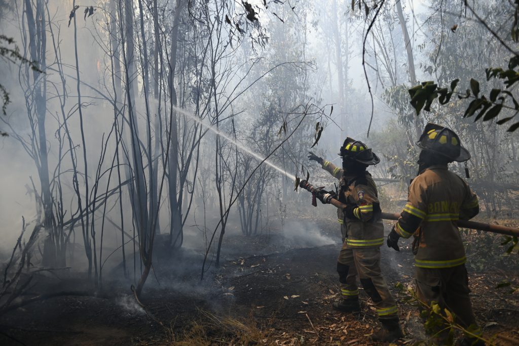 Senapred solicita evacuar sector Callejón “Los Prietos”, comuna de Placilla, por incendio forestal