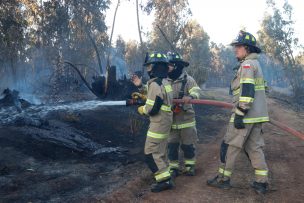 ¿Qué hacer en caso de un incendio forestal?