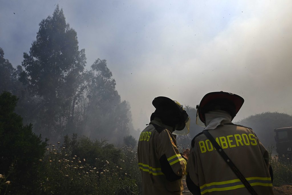 Senapred declara Alerta Roja para la comuna de Marchihue por incendio forestal