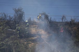 Alerta Amarilla en toda la Región Metropolitana por incendios forestales simultáneos