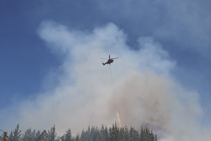 Senapred solicita evacuar Población La Canela, comuna de La Ligua, por incendio forestal