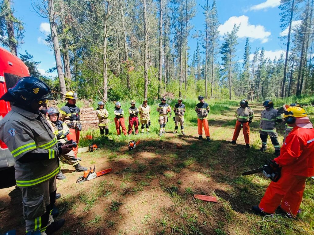 Capacitan a Bomberos de La Araucanía para enfrentar incendios forestales