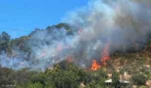 Paine: Gobernador Orrego confirma tres viviendas afectadas por incendio forestal