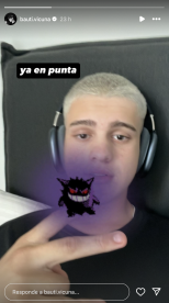 Vicuña