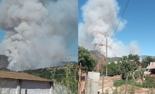 Senapred detalla proceso de evacuación en Padre Hurtado por incendio forestal