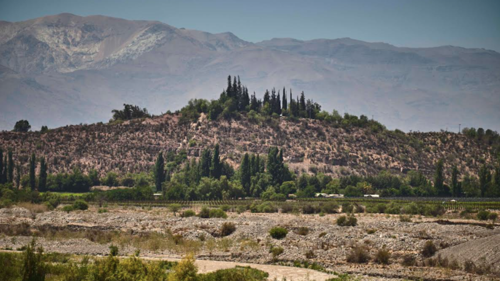 Fundación Lepe inaugura sendero educativo en cerro isla de Curimón