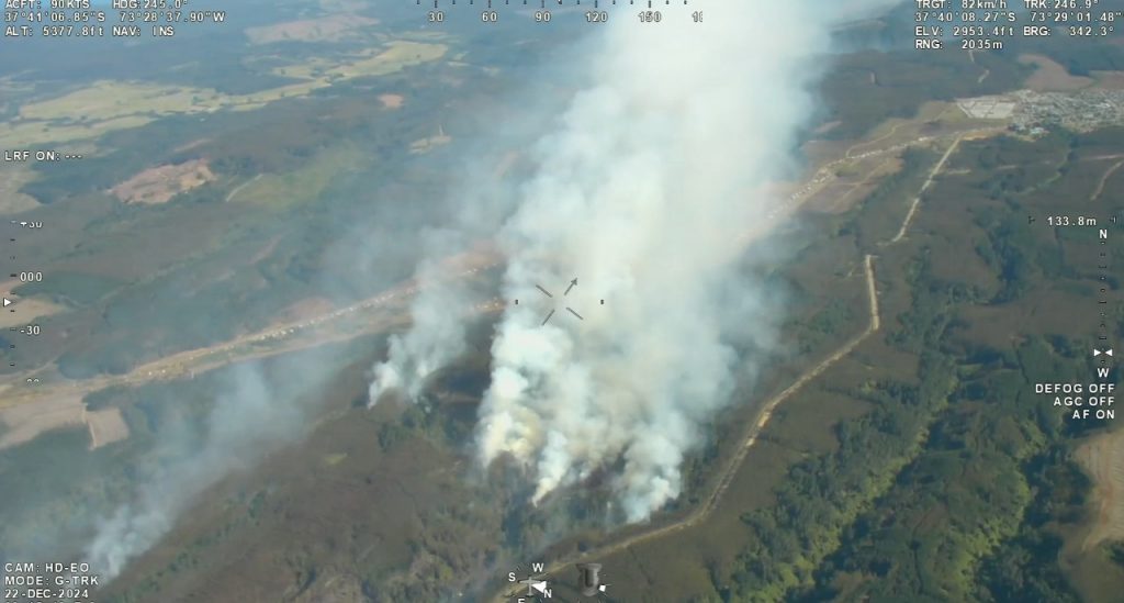 Autoridades denuncian intencionalidad en incendio forestal en Los Álamos