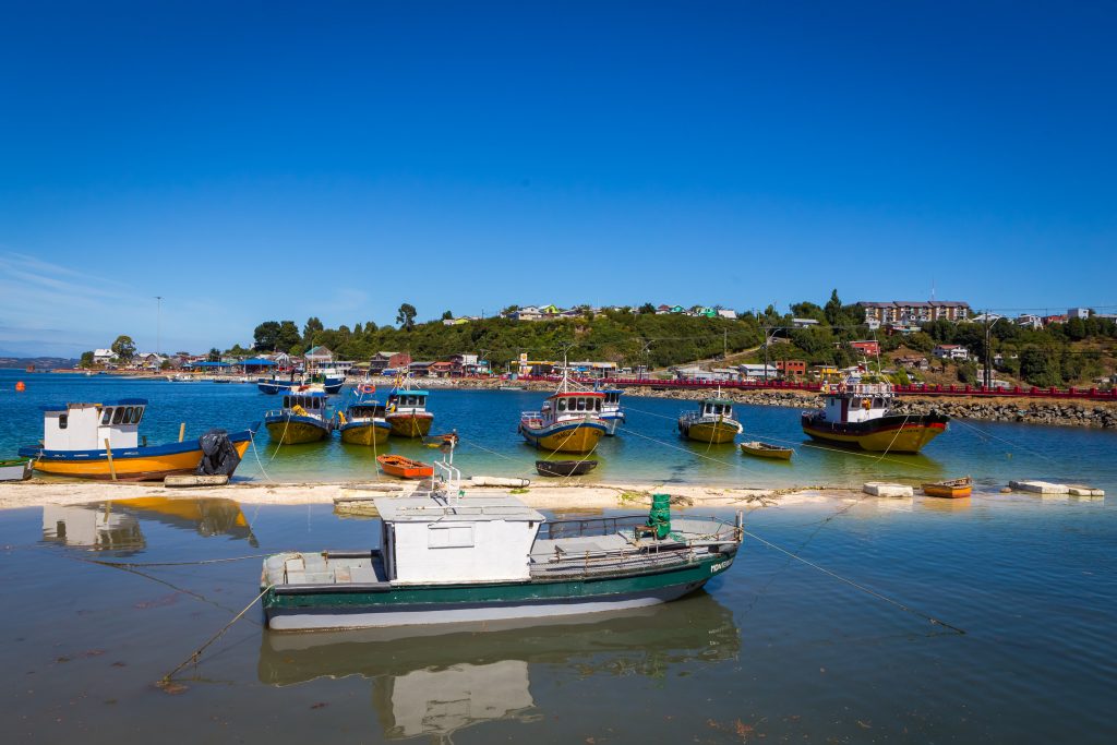 Senadores de La Araucanía destacan histórico avance para la pesca artesanal