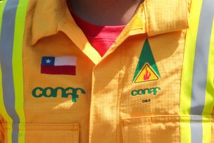 Funcionarios de Conaf anuncian Paro Nacional indefinido desde el lunes