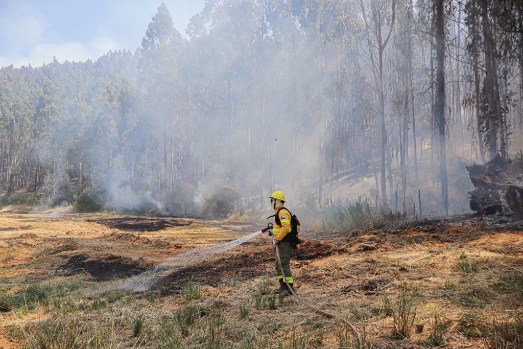 Senapred solicita evacuar sector El Yali Alto, comuna de Santo Domingo, por incendio forestal