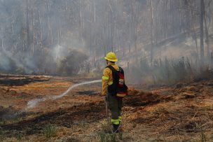 Senapred solicita evacuar sectores de Nahuelve, Nininco y Romolhueco, por incendio forestal