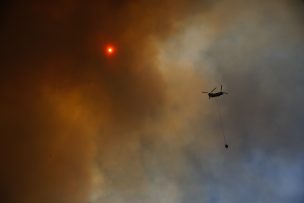 Nueva iniciativa del sector privado para ayudar a las víctimas de los incendios de California