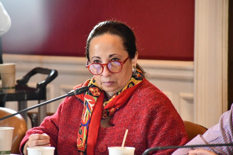 Ley de Incendios: Comisión Mixta se constituye tras cuatro meses y la presidirá Alejandra Sepúlveda