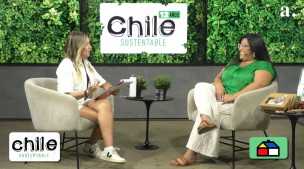 Chile Sustentable y Piensa en Verde: Una fundación con sentido de responsabilidad social y ambiental