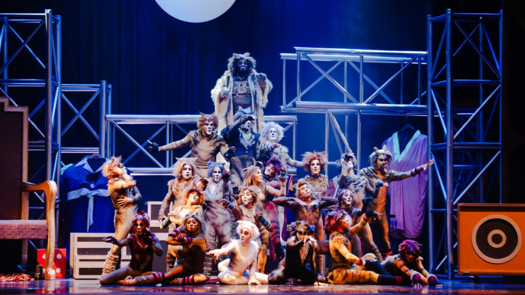 A pedido del público “CATS” suma dos nuevas funciones en Viña del Mar