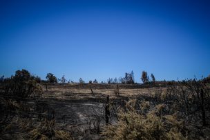 Extienden toque de queda en seis comunas de La Araucanía por incendios forestales