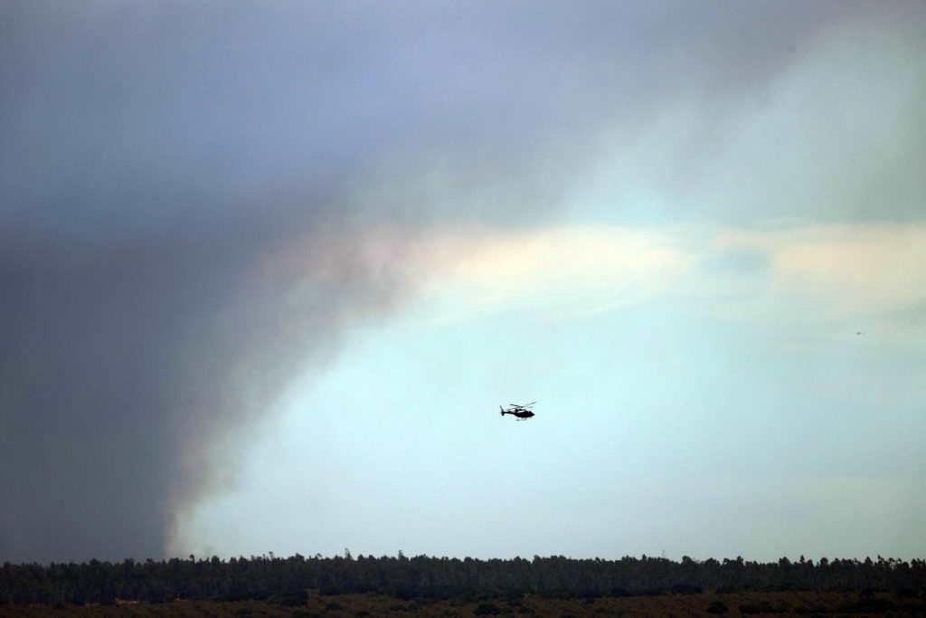 Tribunal deja en libertad a imputados por incendio forestal en Santo Domingo