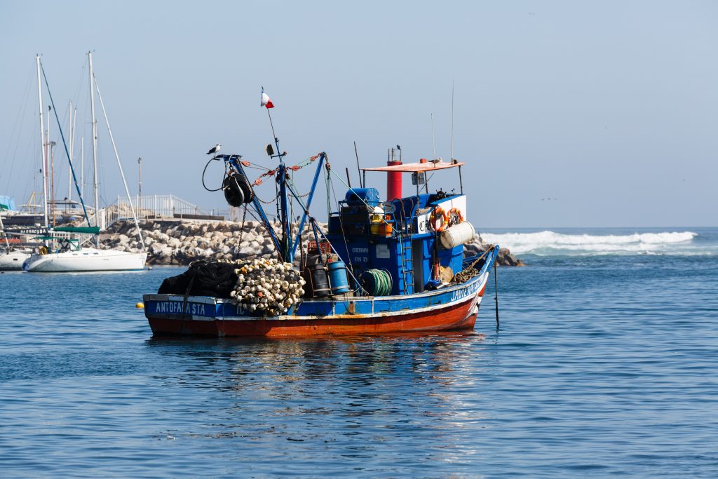 Naufragio en Talcahuano deja un fallecido y cuatro desaparecidos