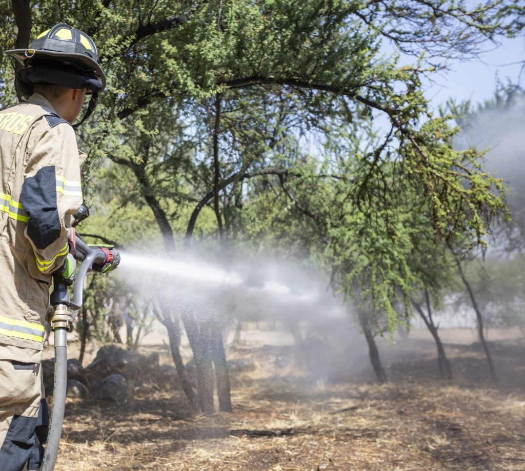 Tragedia en Curepto: Adulta mayor fallece en incendio