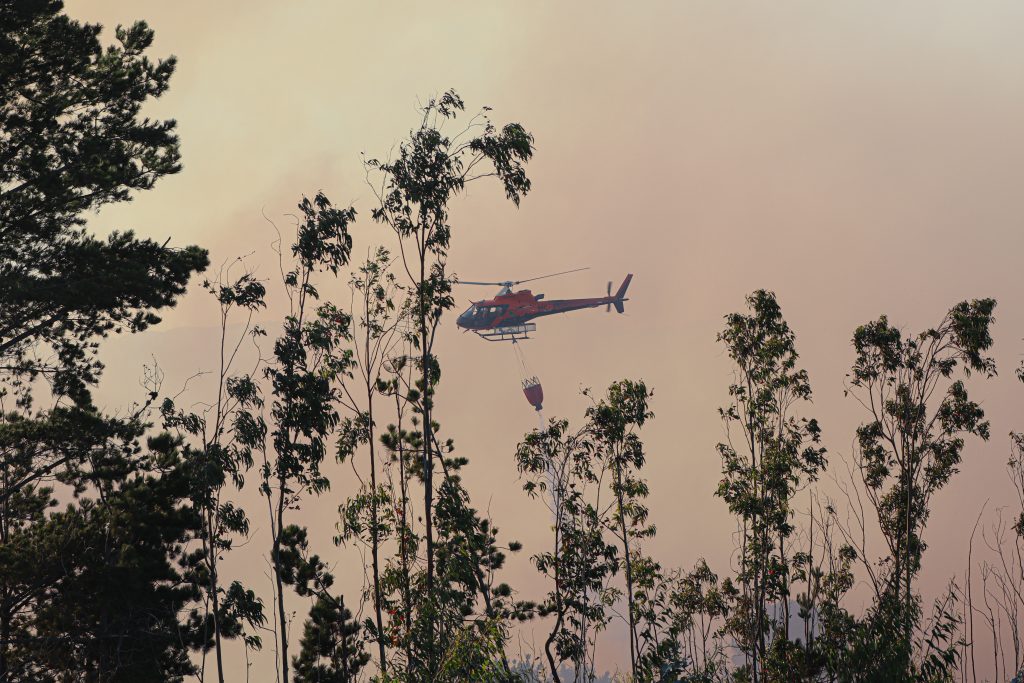 Senapred solicita evacuar localidad de Fachinal, comuna de Chile Chico, por incendio forestal