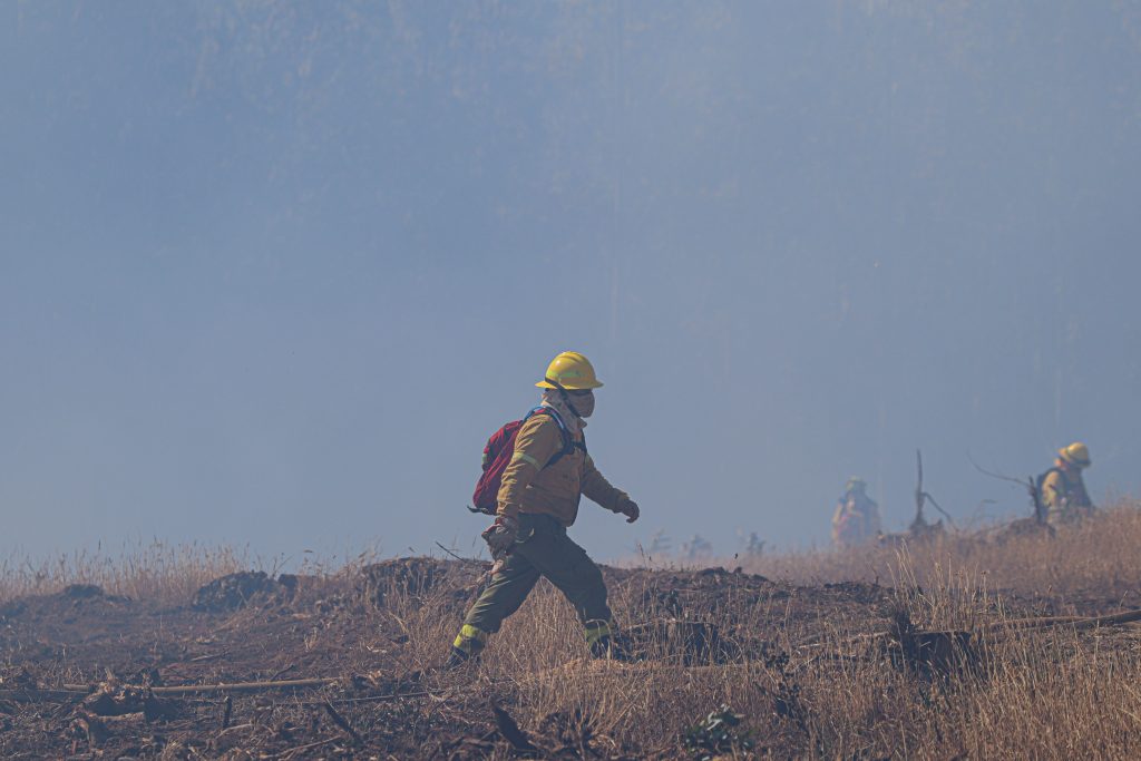 Gobierno anuncia apoyo a los afectados por incendio en Ancud y detalles de asistencia a damnificados