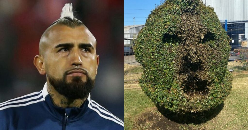 Solo duró horas: Queman árbol podado en homenaje a Arturo Vidal en Talcahuano