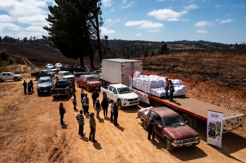 INDAP activa créditos de emergencia y renegociación de deudas por incendios forestales en La Araucanía