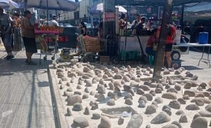 Municipalidad de Estación Central instala piedras para frenar el comercio informal: No fue impedimento para ambulantes