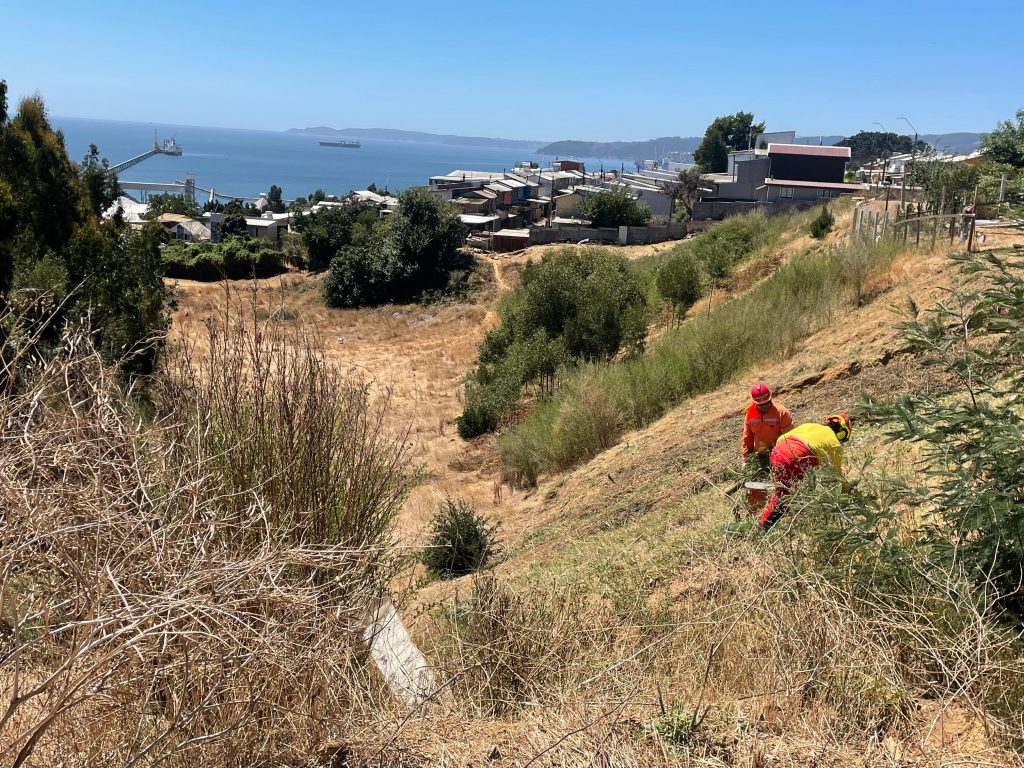 Penco implementa Plan de Seguridad Forestal con participación comunitaria